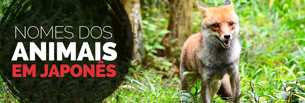 Nome dos animais em japonês